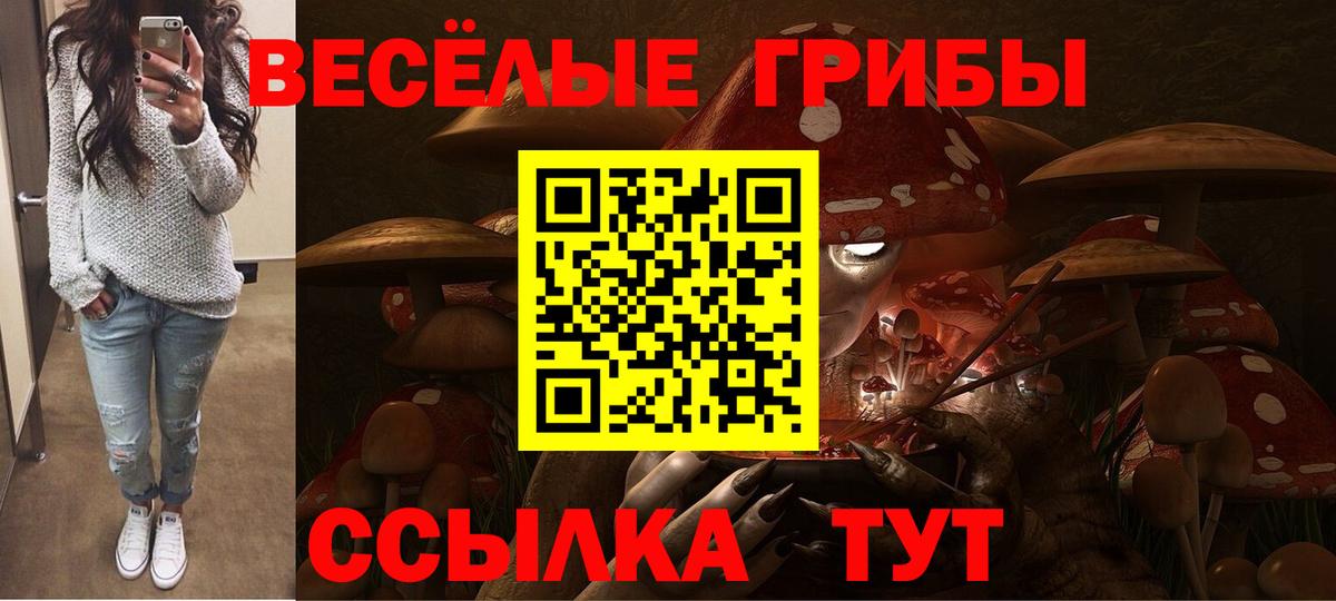 Галлюциногенные грибы Psilocybine cubensis Тихвин
